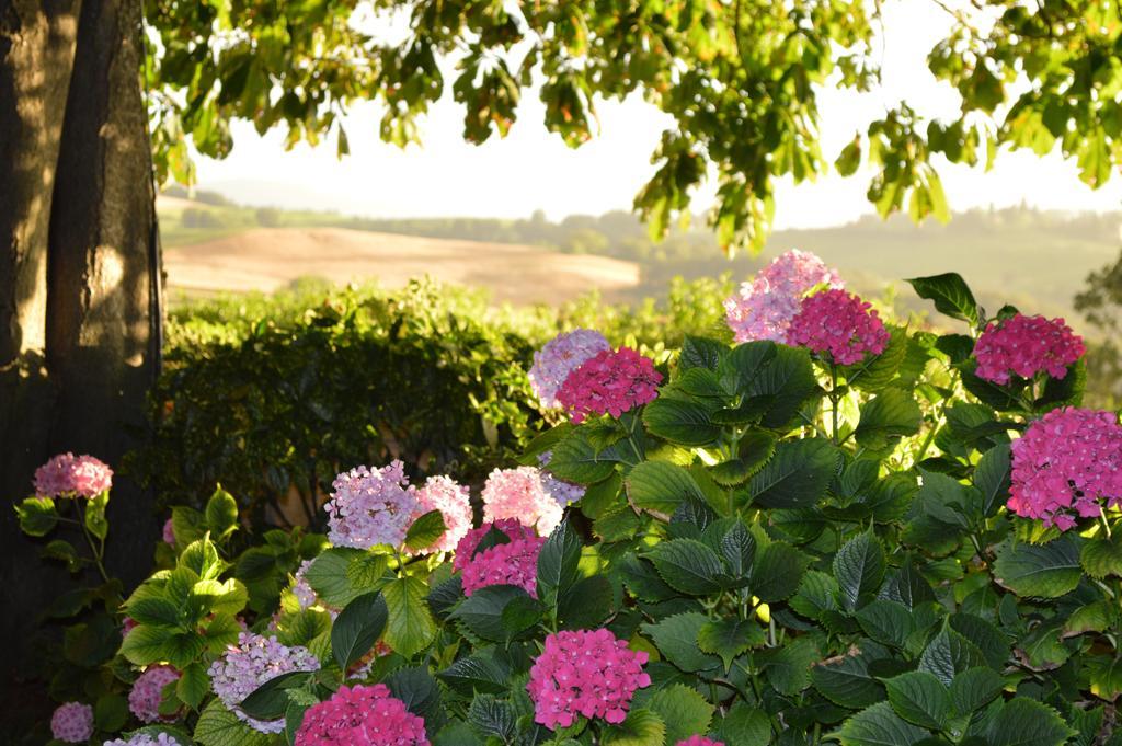 Agriturismo Cavazzone Regnano  Zewnętrze zdjęcie